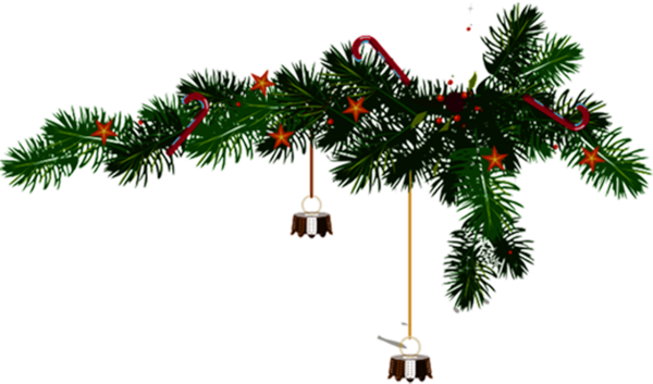 Transparent Christmas Tree Pine Christmas Fir Pine Family for Christmas