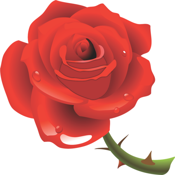 Transparent Garden Roses Flower Love Plant for Valentines Day