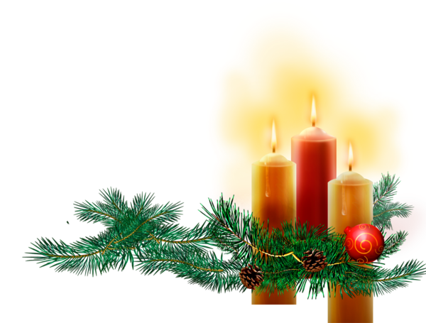 Transparent Christmas Candle Advent Fir Pine Family for Christmas