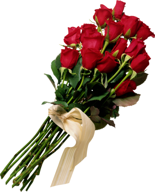 Transparent Flower Bouquet Rose Flower Bouquet for Valentines Day