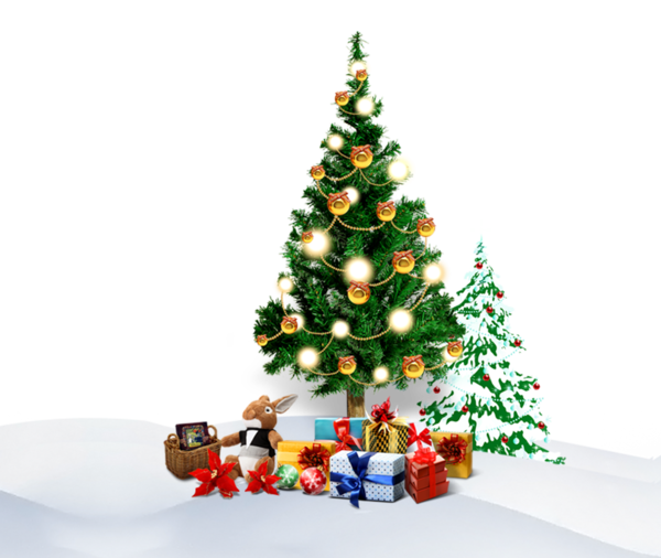 Transparent Christmas Paper Christmas Tree Fir Pine Family for Christmas