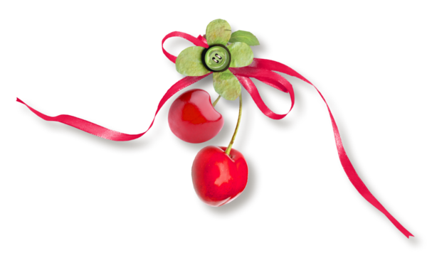 Transparent Christmas Ornament Christmas Fruit Flower for Christmas