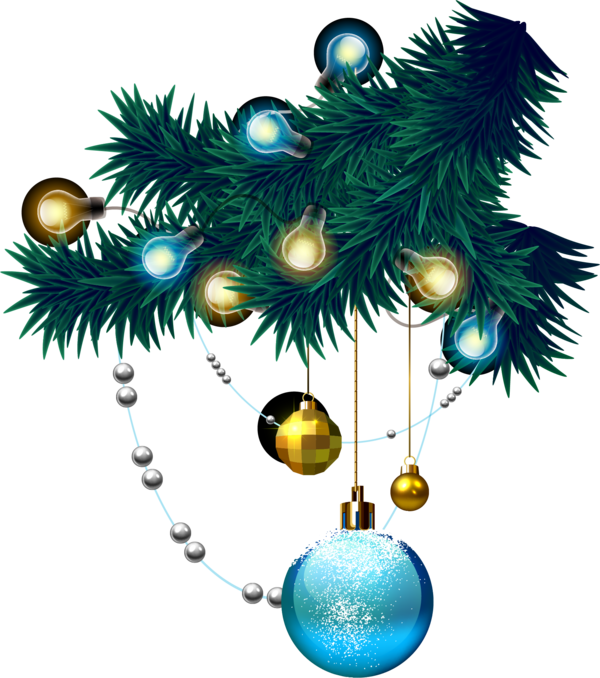 Transparent Christmas Tree Christmas Green Fir Pine Family for Christmas