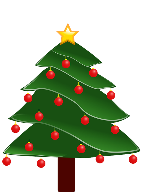 Transparent Christmas Web Browser Buda Fir Pine Family for Christmas
