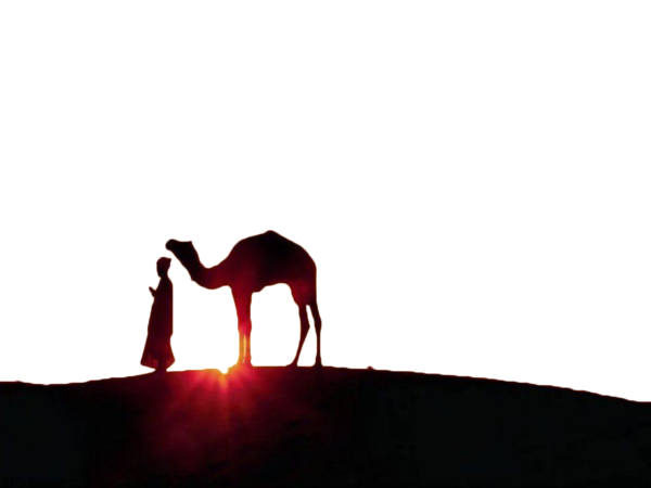 Transparent Ramadan Eid Alfitr Eid Mubarak Camel Like Mammal Silhouette for Ramadan