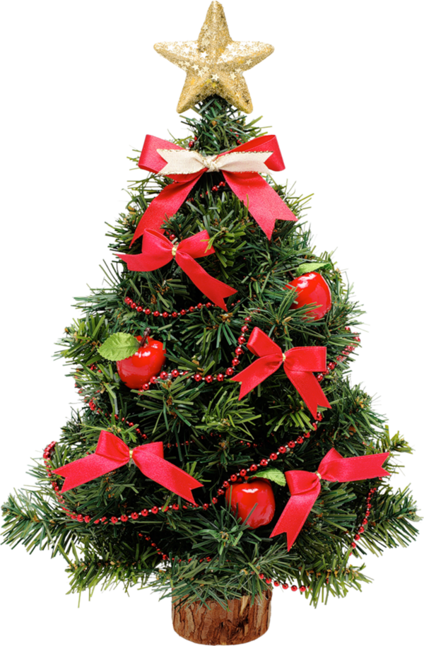 Transparent Christmas Tree Santa Claus Christmas Fir Evergreen for Christmas