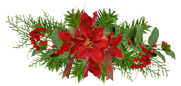 Transparent Christmas Flower Christmas Ornament Evergreen for Christmas
