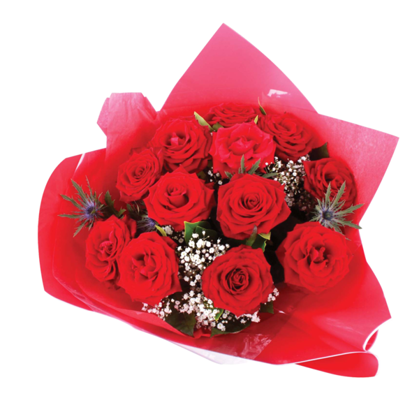 Transparent Cut Flowers Flower Rose Petal Plant for Valentines Day