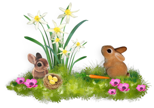 Transparent Hare Flora Meadow Rabbit Flower for Easter