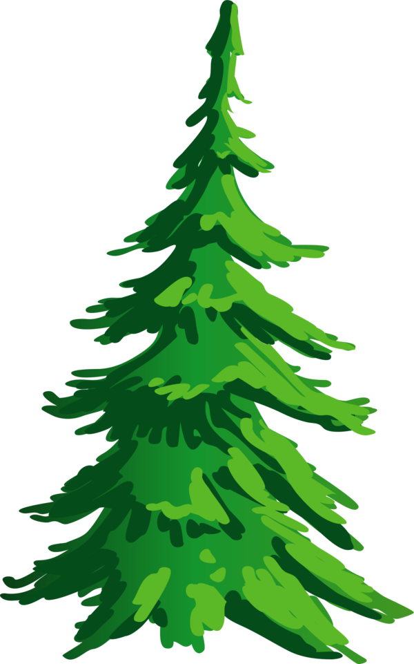 Transparent Christmas Tree Spruce Pine Fir Pine Family for Christmas