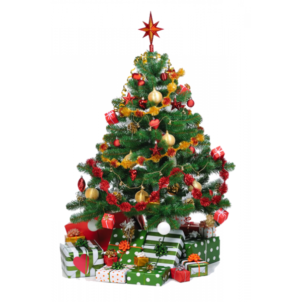 Transparent Christmas Tree Christmas Tree Fir Evergreen for Christmas