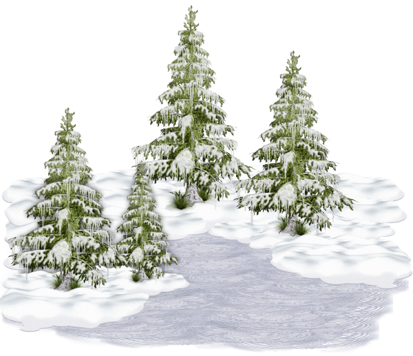 Transparent Christmas Tree Winter Christmas Fir Pine Family for Christmas