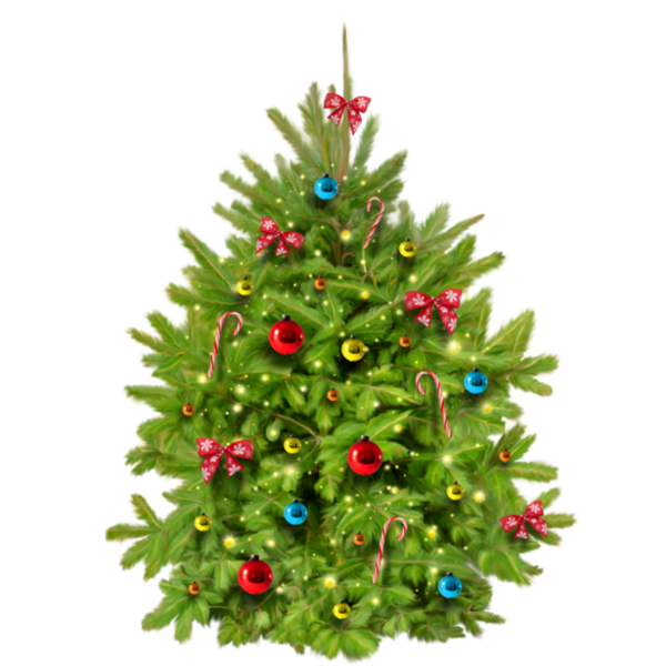 Transparent Santa Claus Christmas Christmas Lights Fir Pine Family for Christmas