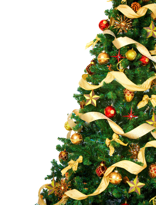 Transparent Christmas Tree Christmas Lights Tree Fir Evergreen for Christmas