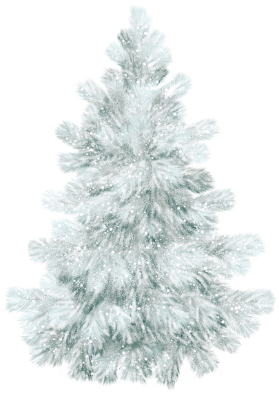 Transparent Spruce Christmas Ornament Fir Pine Family for Christmas