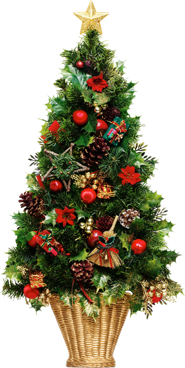 Transparent New Year Tree New Year Christmas Tree Fir Evergreen for Christmas
