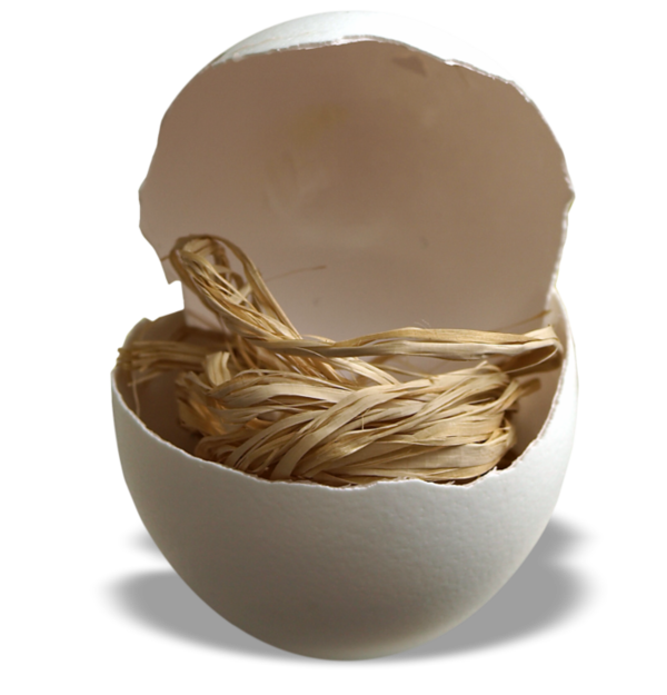 Transparent Eggshell Egg Easter Egg Tableware for Easter