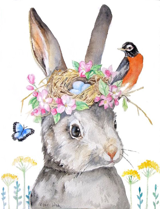 Transparent Easter Bunny Holland Lop Leporids Wildlife Hare for Easter