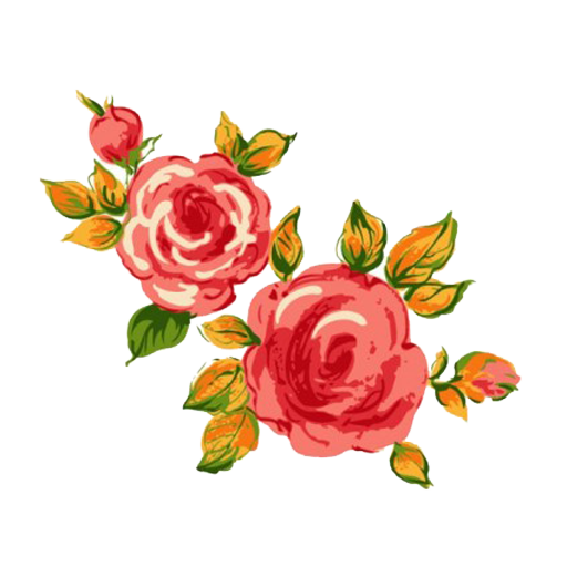 Transparent Rose Drawing Flower Pink Plant for Valentines Day