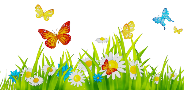 Transparent Computer Grasses Sky Butterfly Natural Landscape for Easter