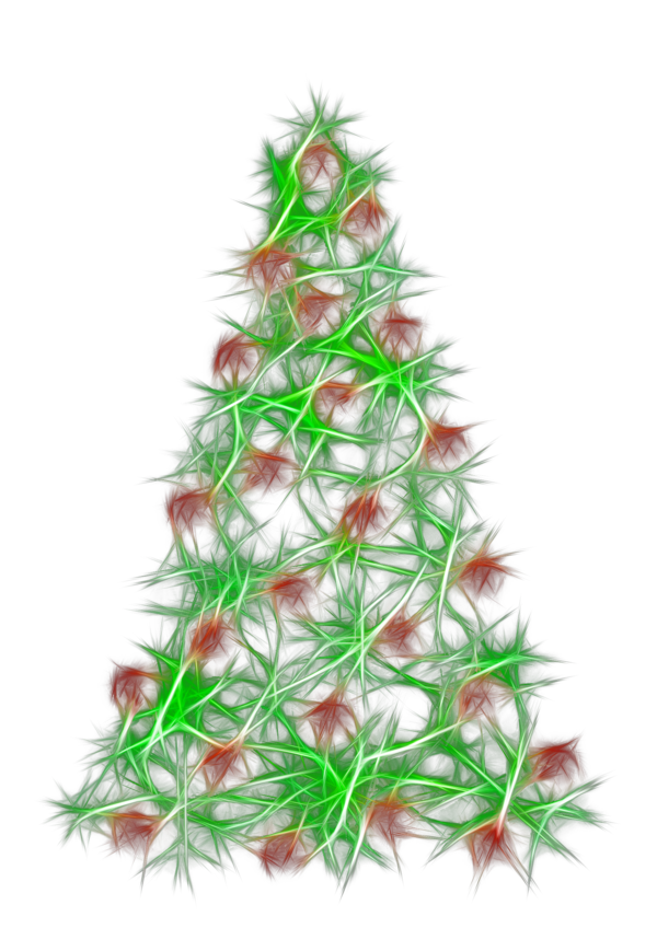 Transparent Christmas Tree Christmas Ornament Tree Fir Pine Family for Christmas