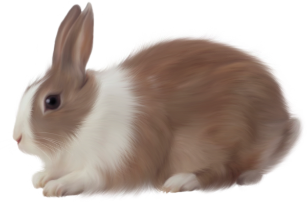 Transparent Rabbit Easter Bunny Hare Whiskers for Easter