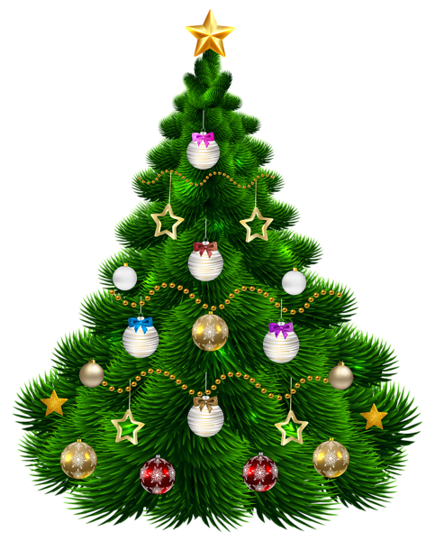Transparent Christmas Tree Christmas Ornament Christmas And Holiday Season Fir Pine Family for Christmas