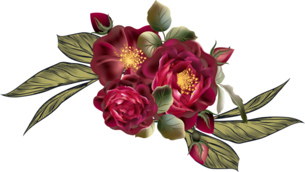 Transparent Floral Design Cut Flowers Garden Roses Flower Plant for Valentines Day