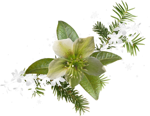 Transparent Floral Design Easter Diary Plant Flower for Easter