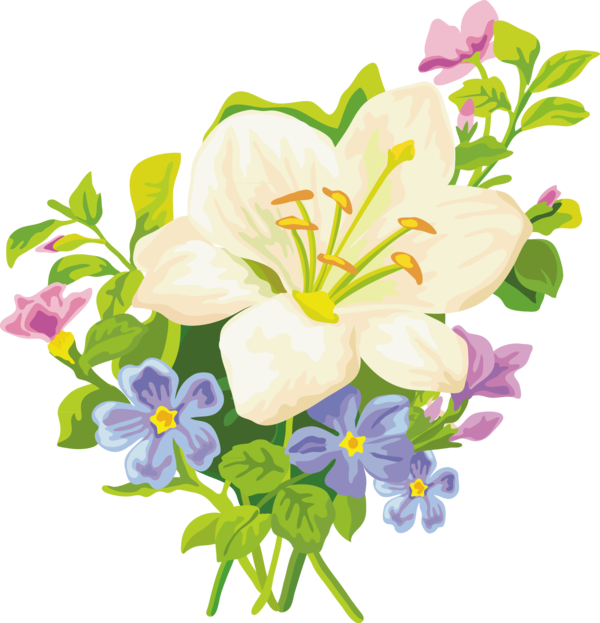Transparent Amaryllis Belladonna Flower Tiger Lily Plant for Easter