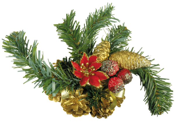 Transparent Krampus Christmas Card Christmas Fir Pine Family for Christmas
