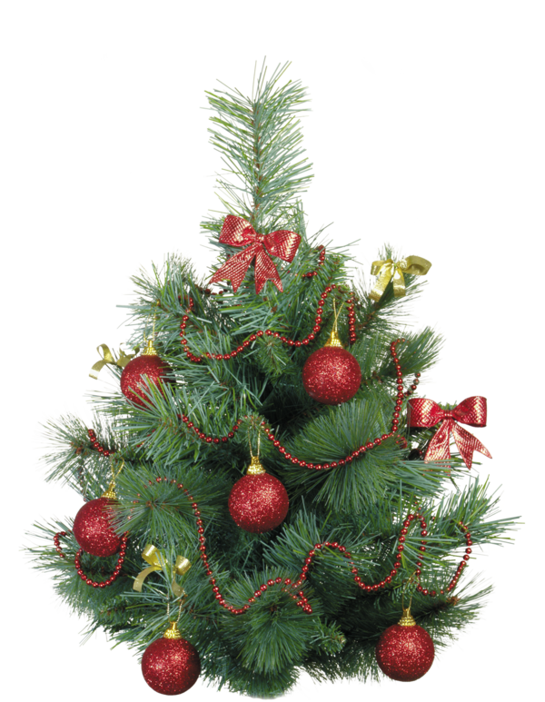 Transparent New Year Tree New Year Yolki Evergreen Pine Family for Christmas