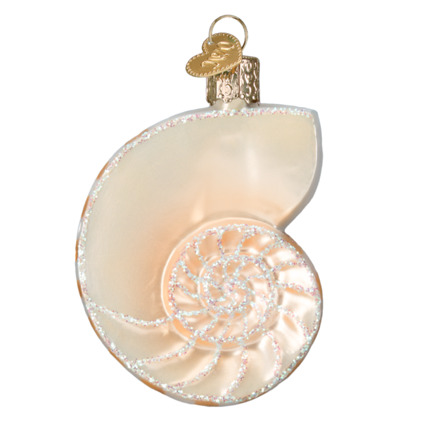 Transparent Christmas Ornament Christmas Seashell Nautilida for Christmas