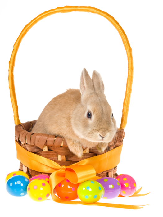 Transparent Easter Bunny Easter Basket Snout for Easter