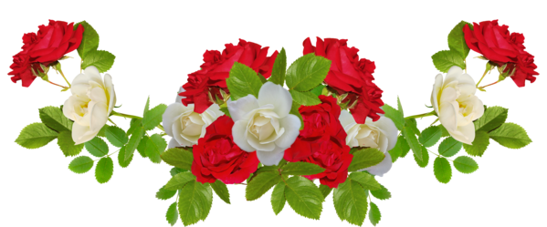 Transparent Flower Rose White Petal Plant for Valentines Day