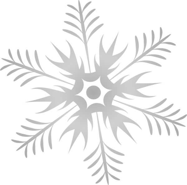 Transparent Grey Black And White Snowflake Symmetry Point for Christmas