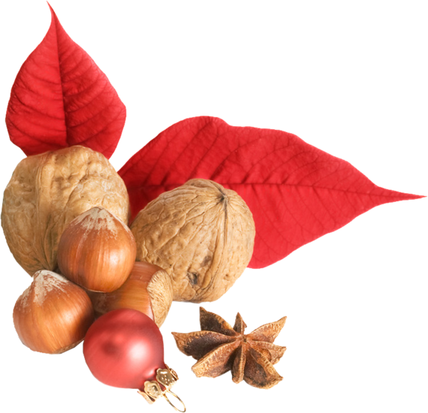 Transparent Nut Hazelnut Walnut Ingredient for Christmas