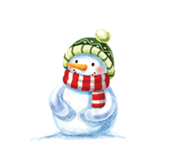 Transparent Christmas Ornament Snowman Christmas Flightless Bird for Christmas