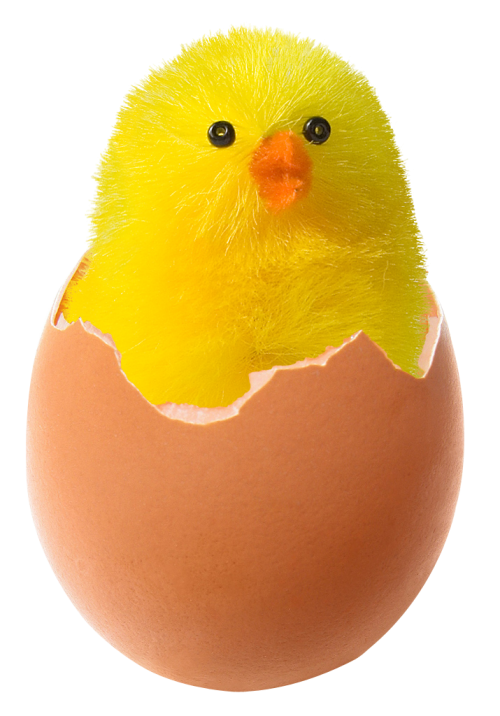 Transparent Chicken Fried Egg Egg Yellow Easter Egg for Easter