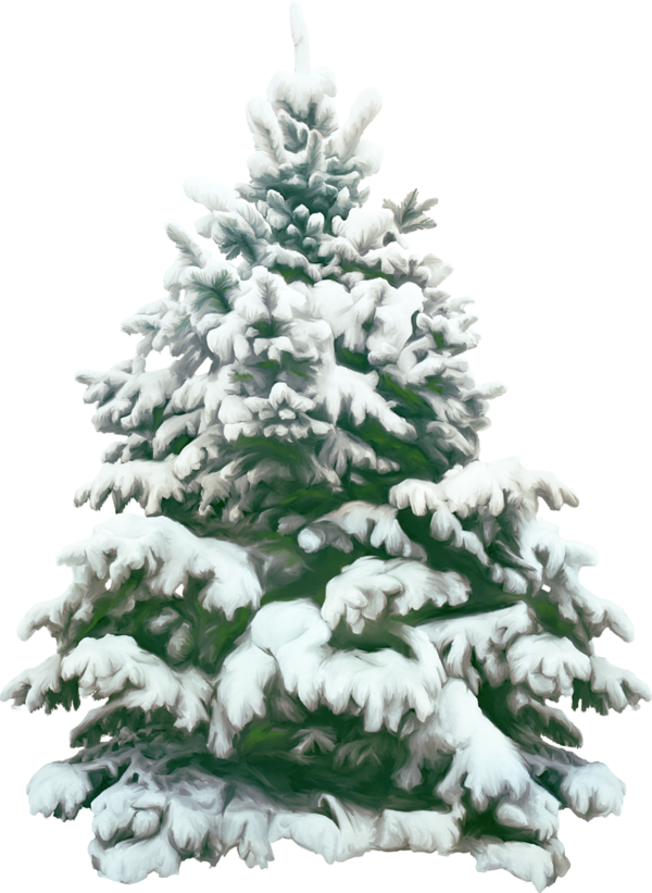 Transparent Christmas Tree Pine Christmas Fir Pine Family for Christmas