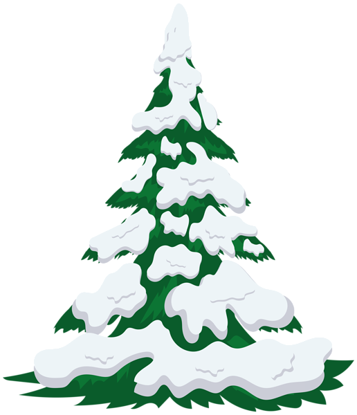 Transparent Christmas Tree Tree Fir Pine Family for Christmas
