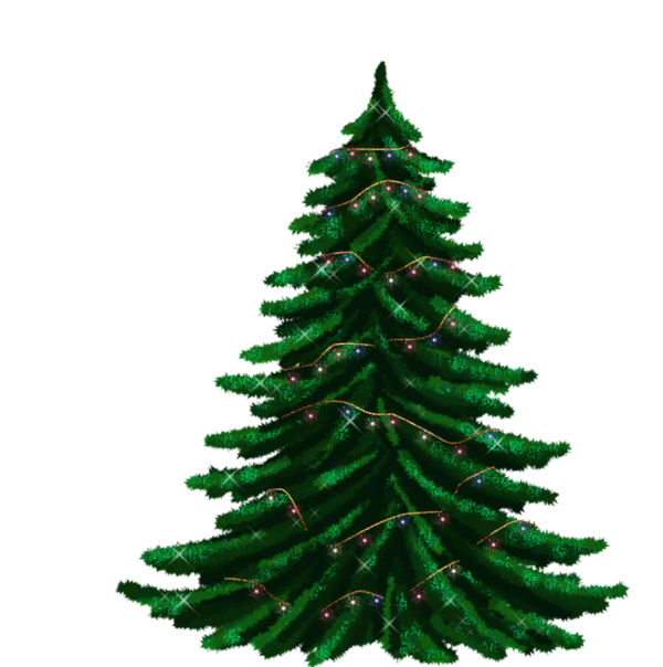 Transparent Christmas Tree Fir Christmas Spruce for Christmas