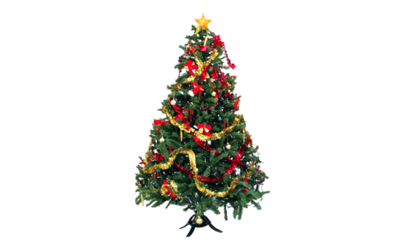 Transparent Christmas Tree Tree Christmas Lights Fir Pine Family for Christmas