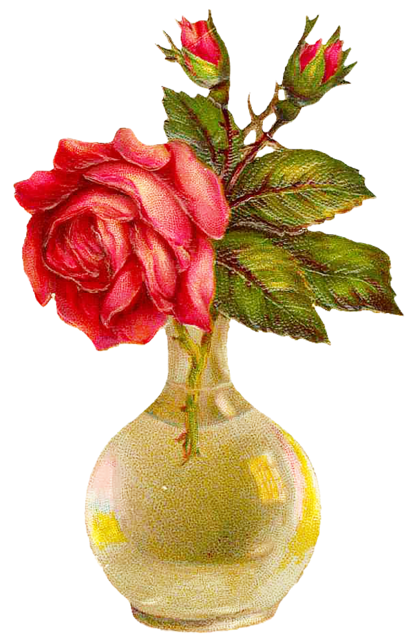 Transparent Vase Flower Garden Roses Petal Plant for Valentines Day