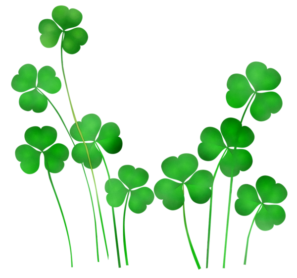 Transparent Shamrock Saint Patricks Day St Patricks Day Fun Green Leaf for St Patricks Day