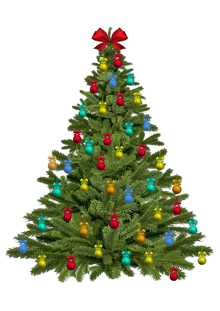 Transparent O Tannenbaum Christmas Tree Christmas Fir Pine Family for Christmas