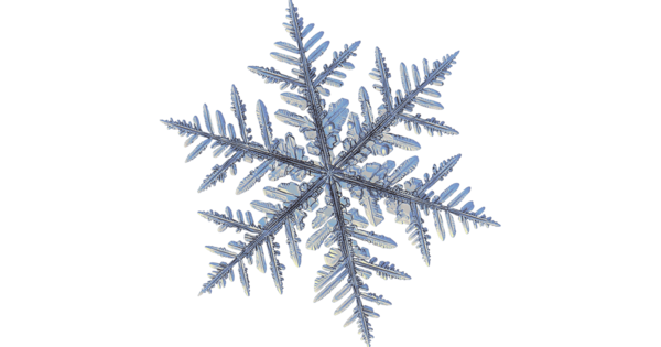 Transparent Snowflake Dendrite Crystal Tree Leaf for Christmas