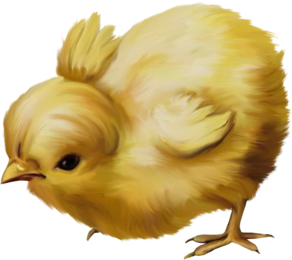 Transparent Chicken Easter Kifaranga Beak for Easter