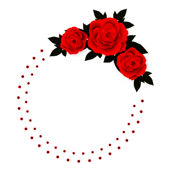Transparent Stock Photography Circle Silkn Red Rose for Valentines Day