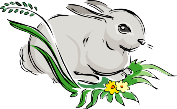 Transparent European Rabbit Hare Easter Bunny Green Rabbit for Easter